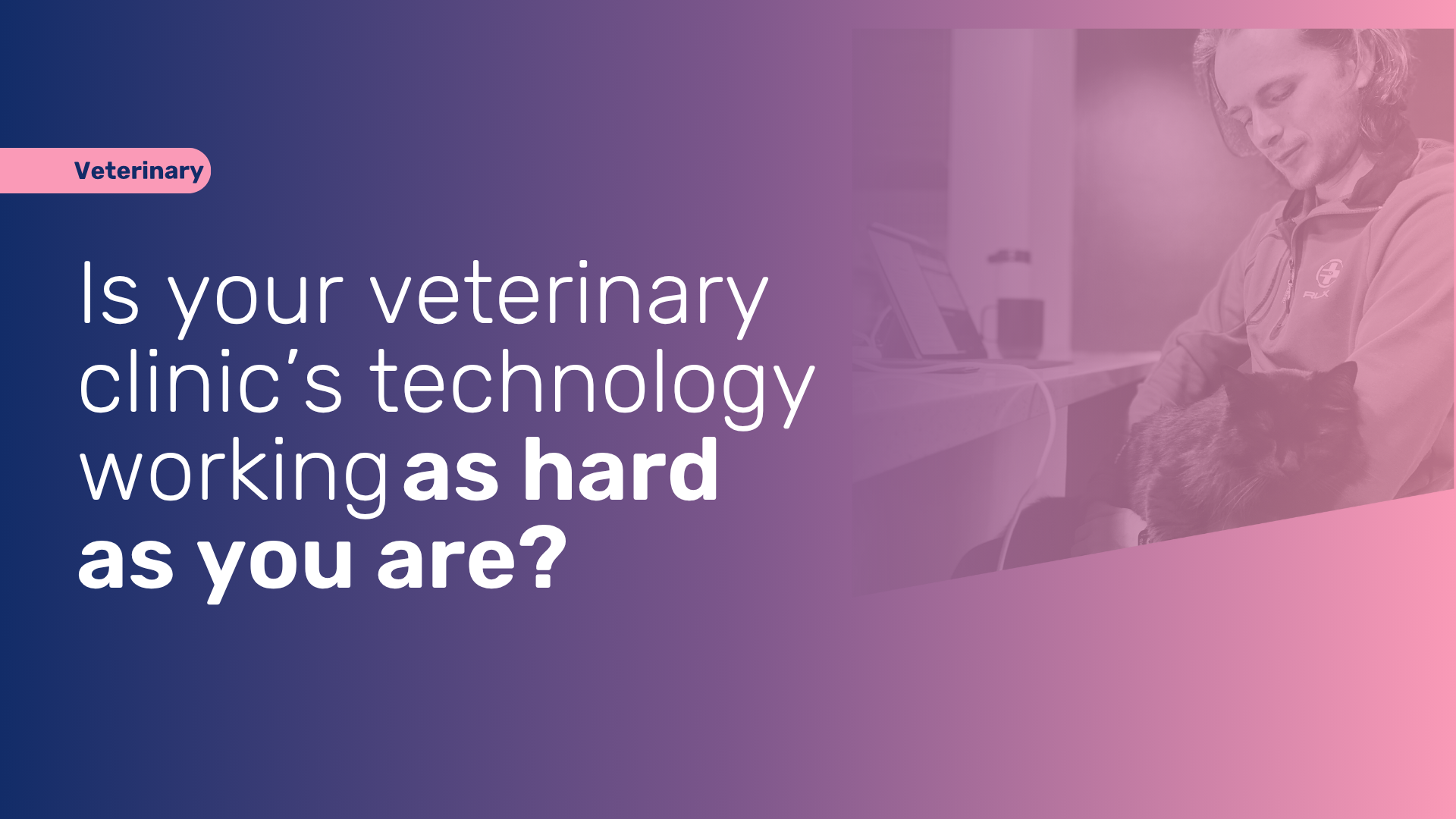veterinary clinic IT support and technology management